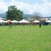 Sports Club Activity