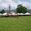 Sports Club Activity